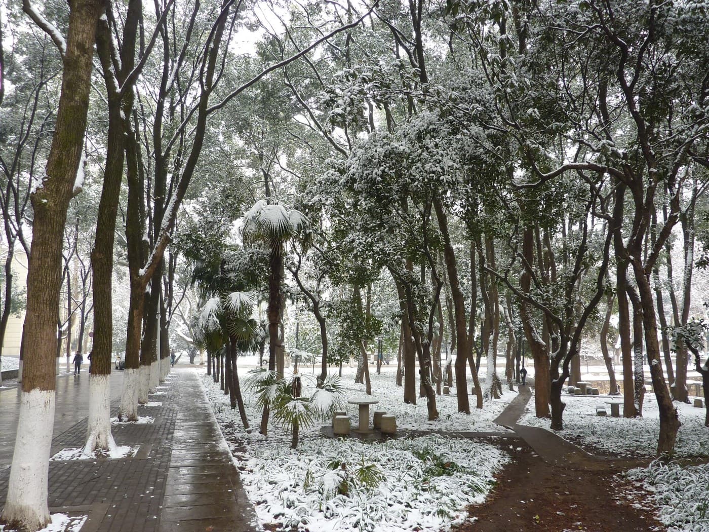 Huazhong University of Science and Technology campus