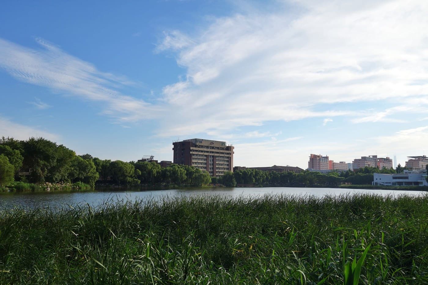 Tianjin University campus